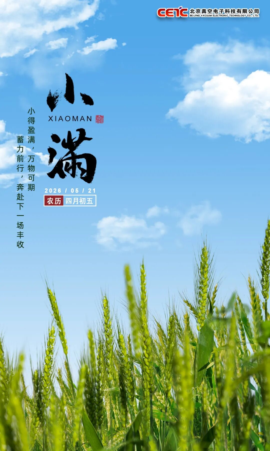 小  满 · Grain Full   时夏渐半，恰为小满