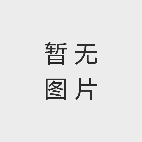 BVE-130130D通道式X射线安全检查设备